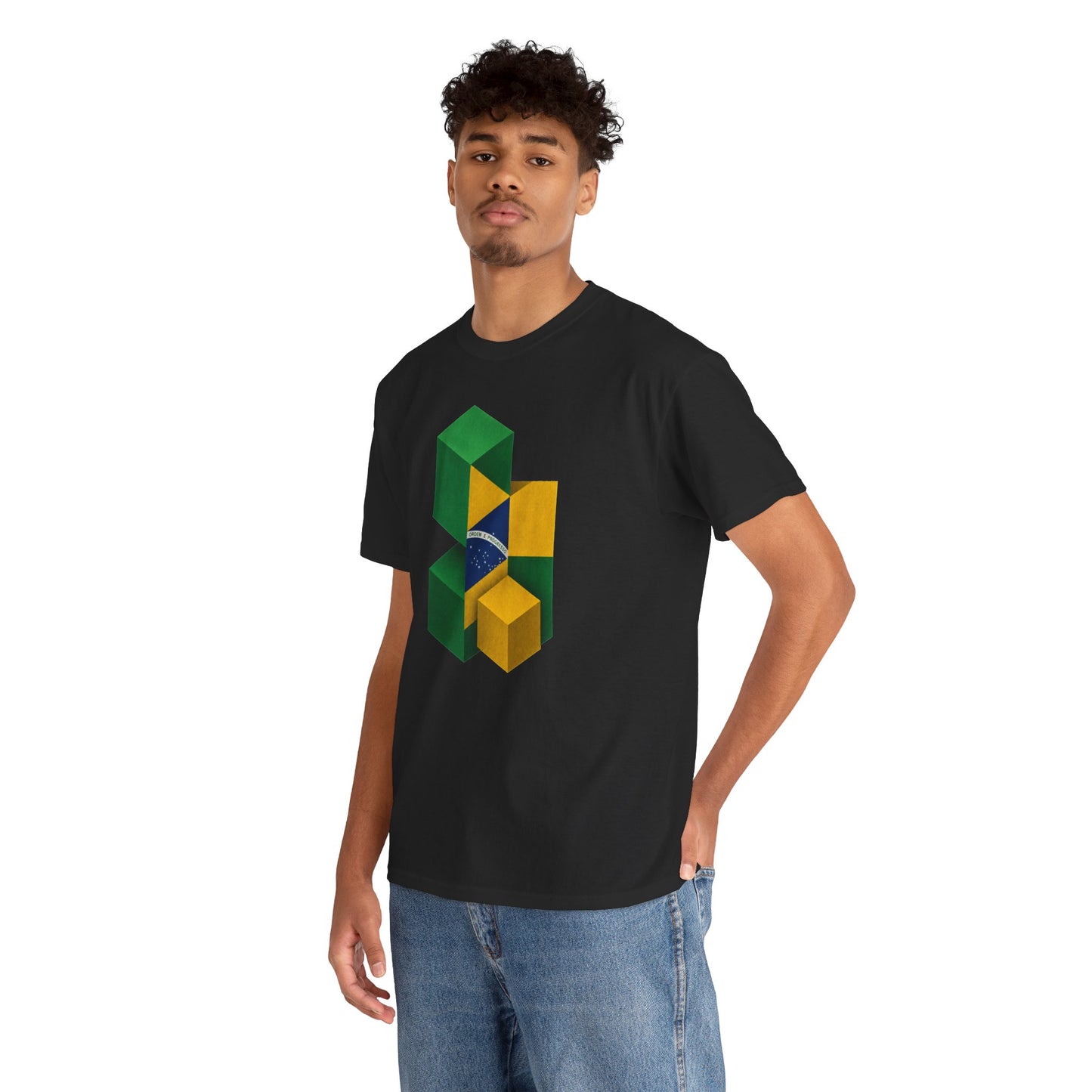 Brasília Blocks