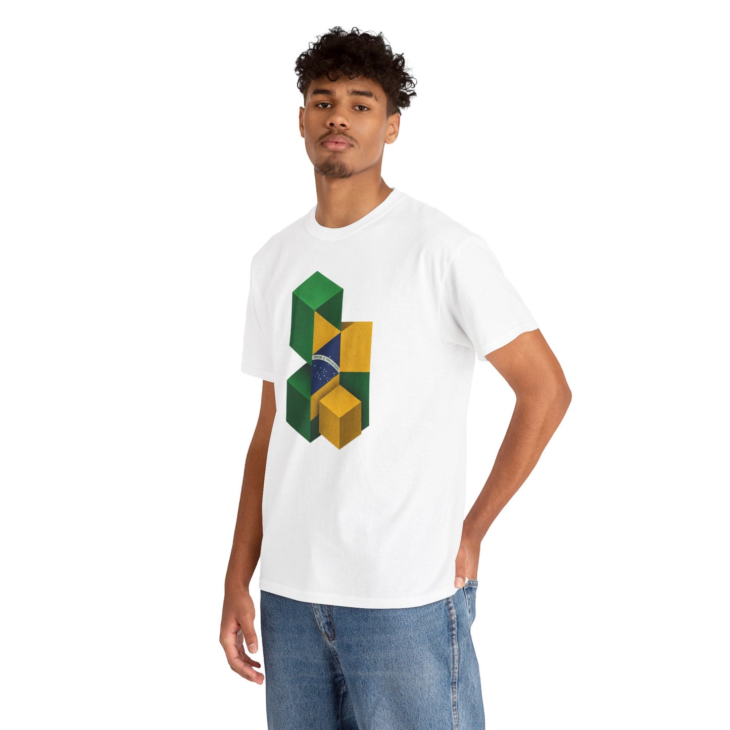 Brasília Blocks