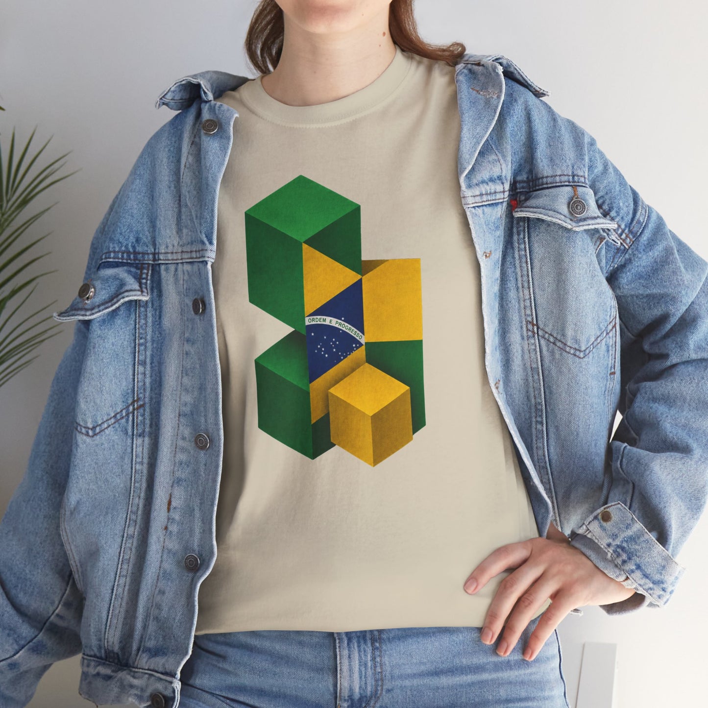 Brasília Blocks