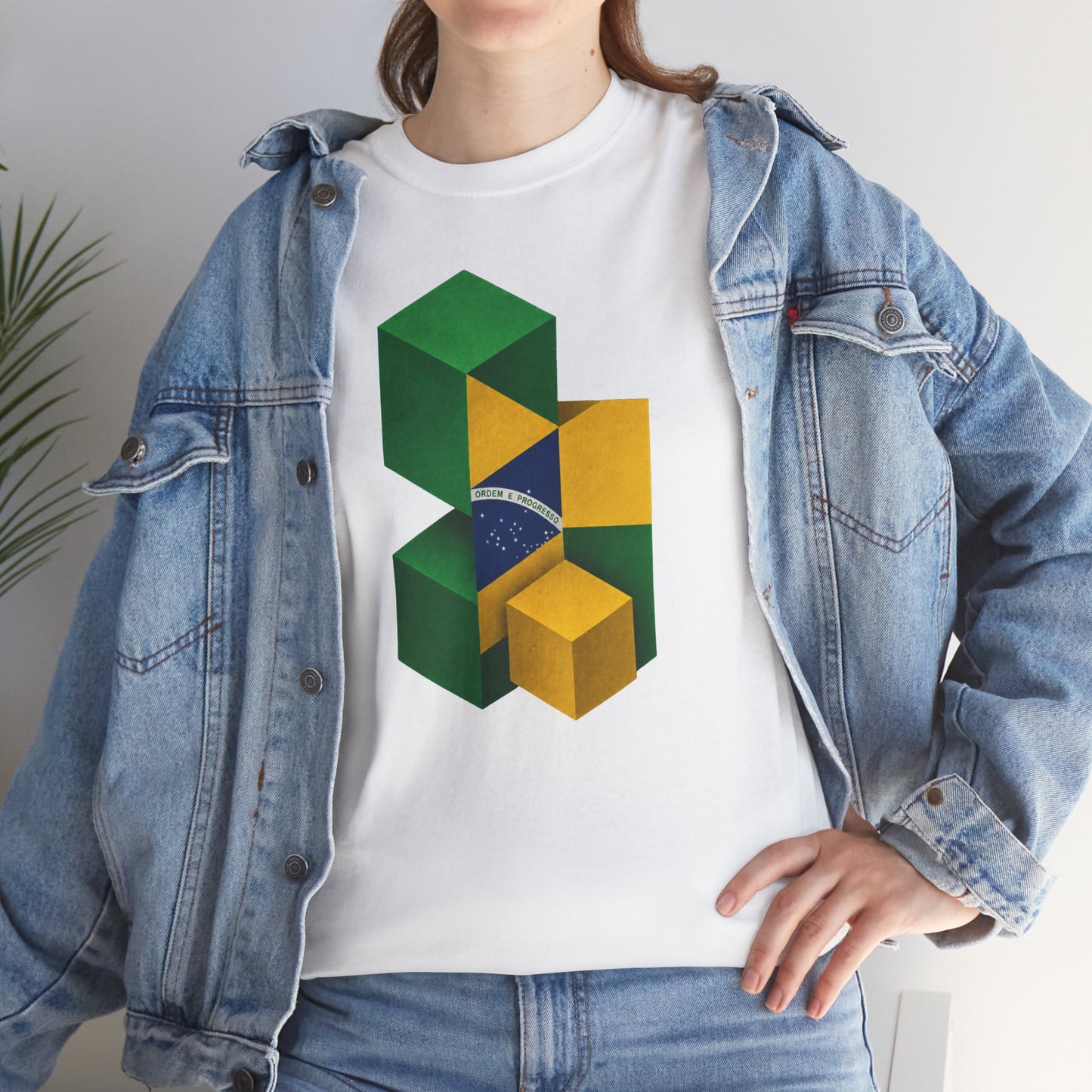 Brasília Blocks