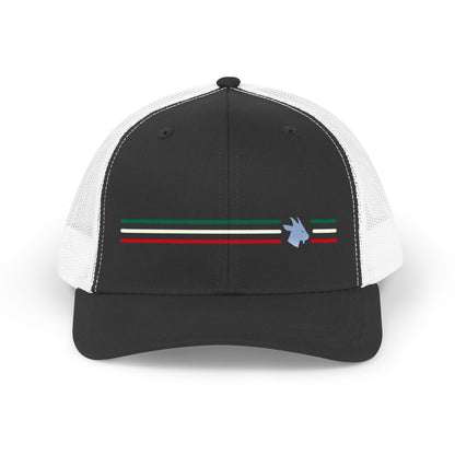 Mexico Low-Key Stripe Trucker Hat